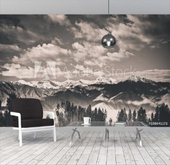 Picture of Landscape of Leh Ladakh North of India black and white tone